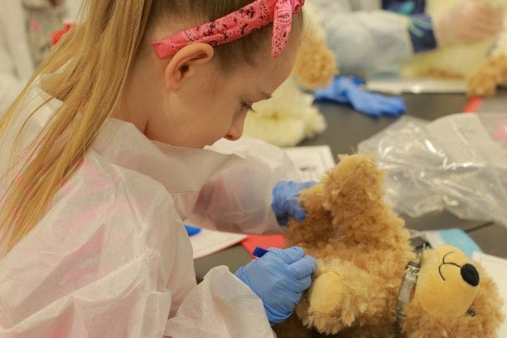A child wearing protective gloves checks a stuffed dog for ticks