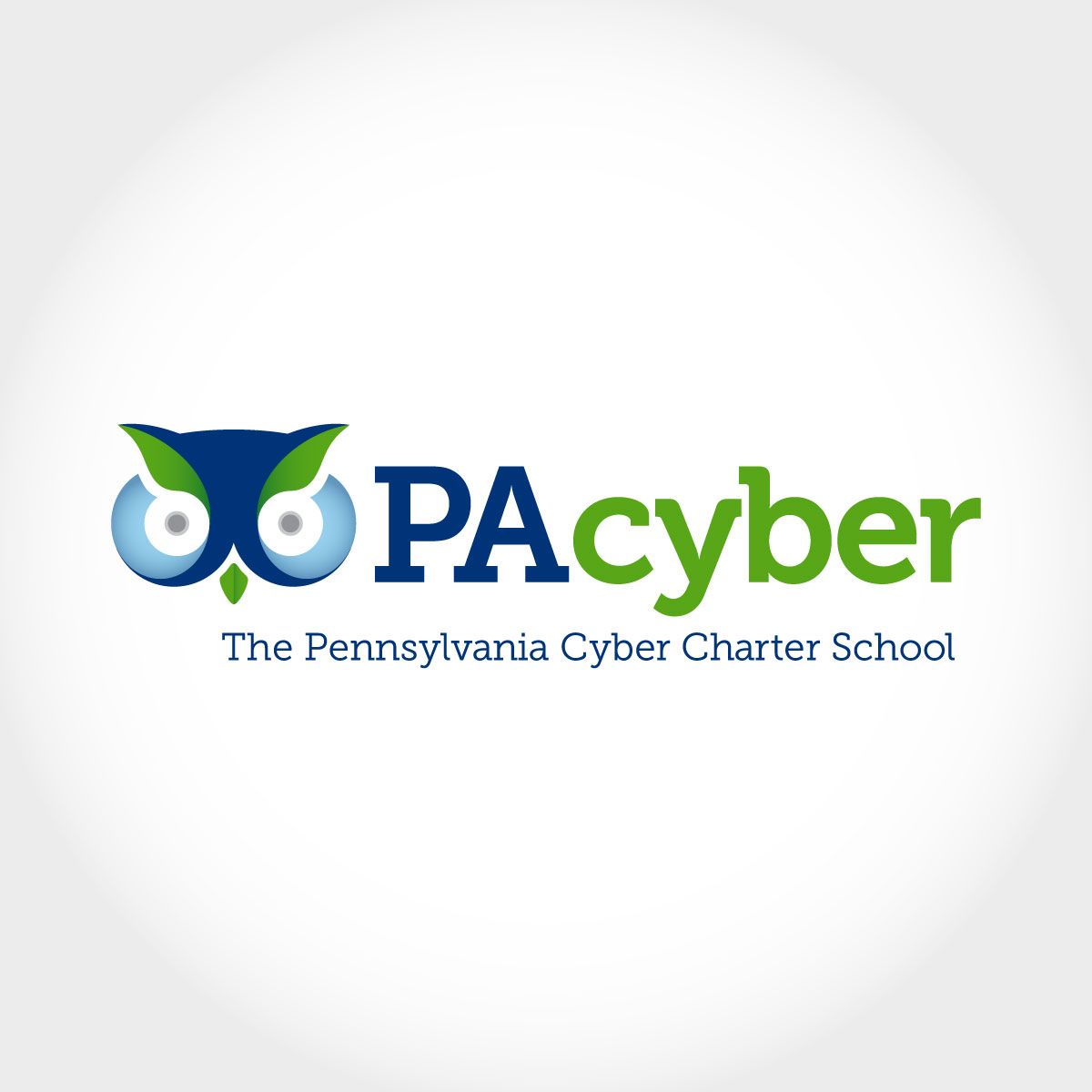 The Pennsylvania Cyber Charter School Pa Cyber